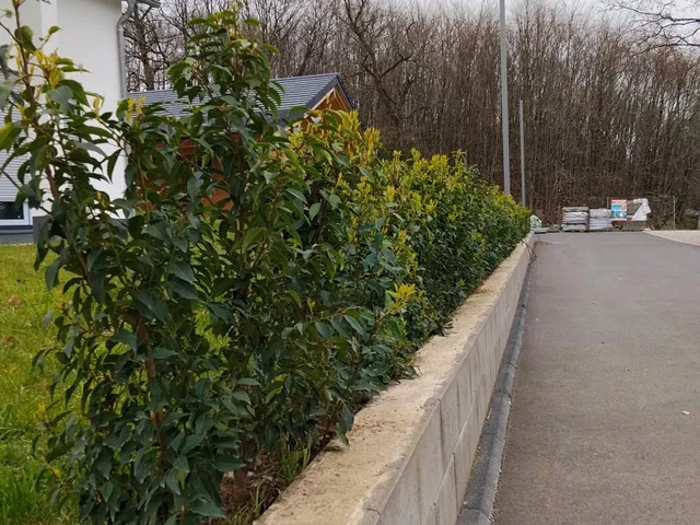 Beebau p4 — 12