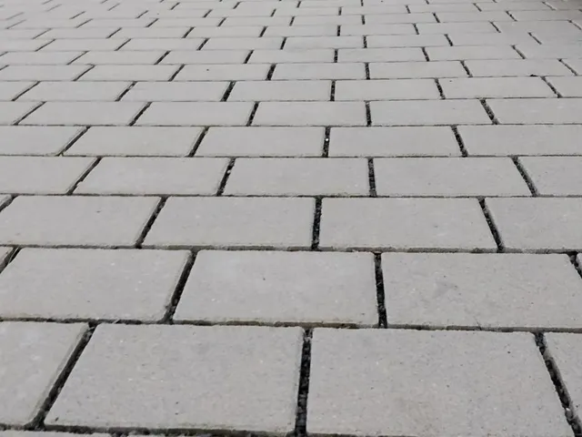 Beebau construction — paving02_1777290976646